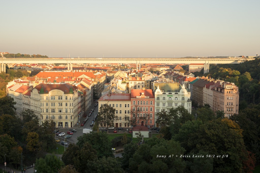 Loxia_Prague_01_f8_08009