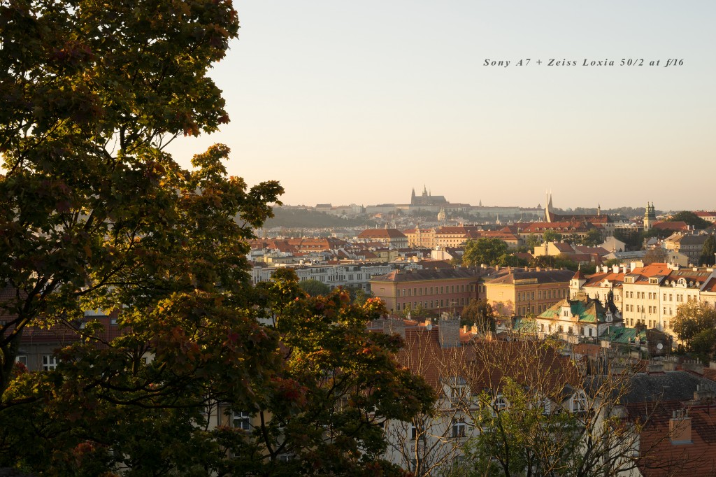 Loxia_Prague_02_f16_08009a