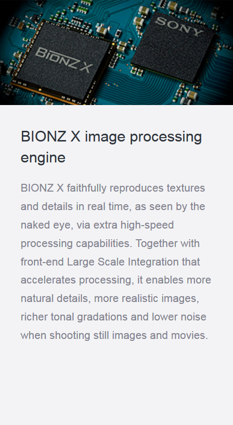 Features_07_BionzX