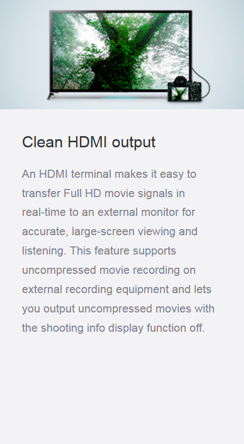 Features_21_cleanHDMI