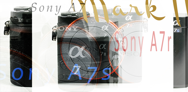 Sony Alpha A7 Family – Which One To Choose? A7 (ILCE-7) vs Sony Alpha A7 Family – Which One To Choose? A7 (ILCE-7) vs