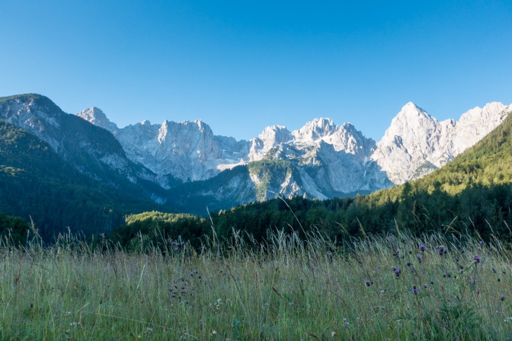 Julian_Alps_2015-02753